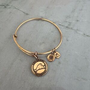 Alex and Ani Martha's Vineyard Charm Bangle Bracelet in Rafaelian Gold